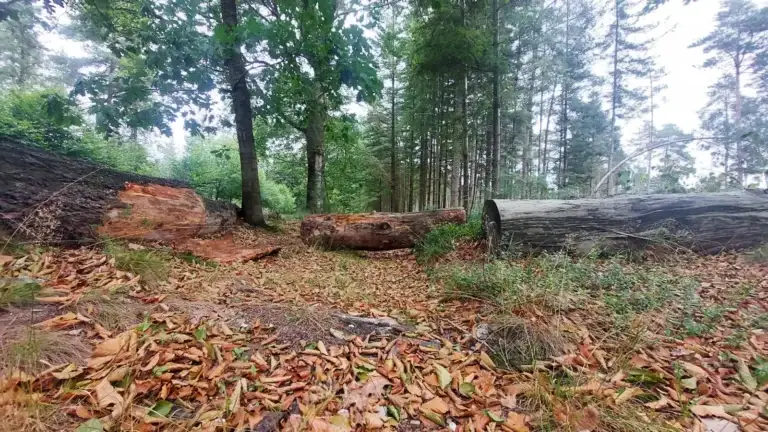 Afsluiting MTB-route Sallandse Heuvelrug