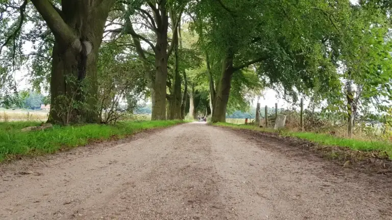 Beukenlaantje Holten