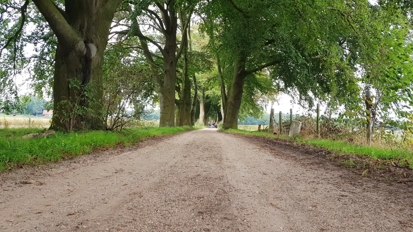 Beukenlaantje Holten