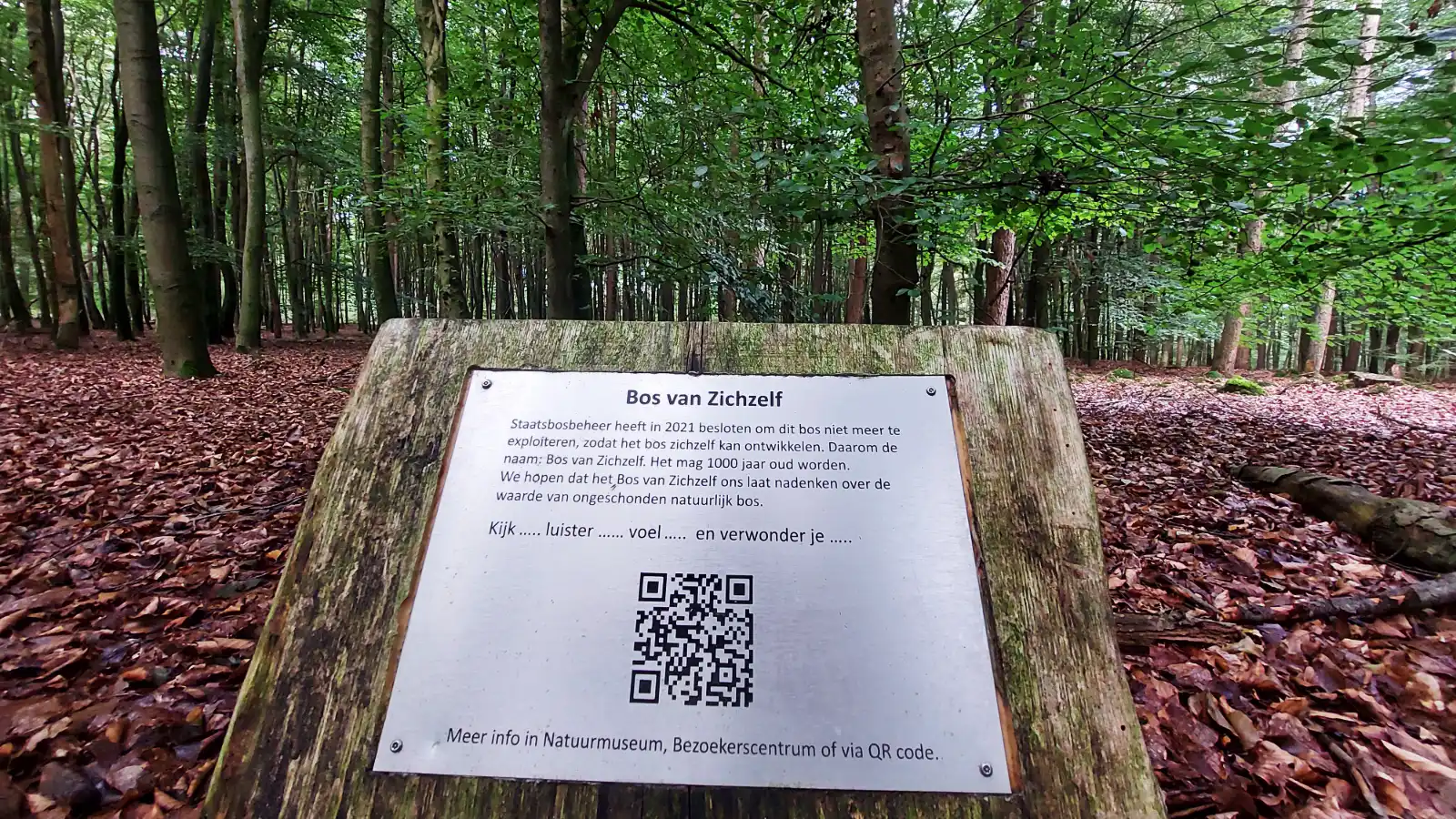 Bos van Zichzelf