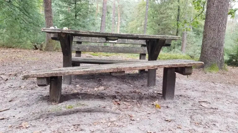 Scheef bankje op Holterberg